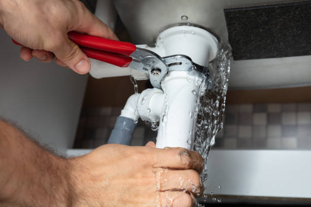 Best Commercial water damage restoration  in Forsyth, IL