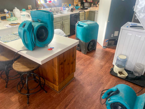 Best Water damage restoration mold remediation  in Forsyth, IL