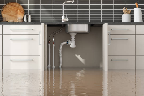 Best Flooded house restoration  in Forsyth, IL