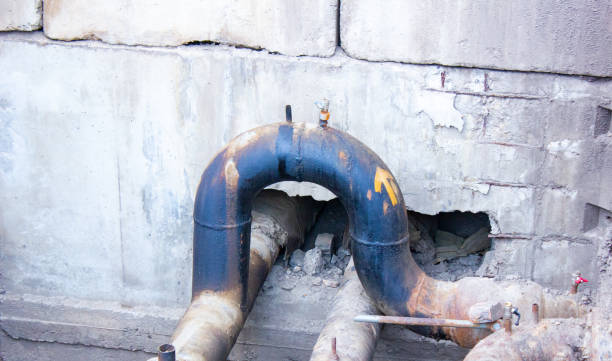 Best Carpet water damage restoration  in Forsyth, IL