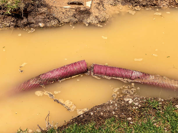 Best Flood damage cleanup  in Forsyth, IL