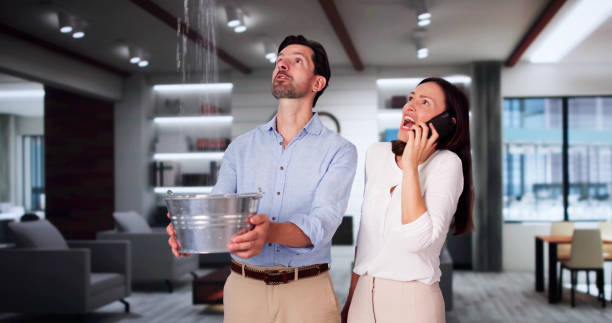 Best Ceiling water damage repair  in Forsyth, IL