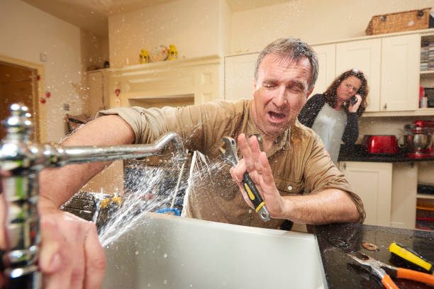 Best Fire Damage Restoration  in Forsyth, IL